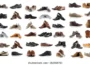 Men’s Shoes: Style, Comfort, and Function